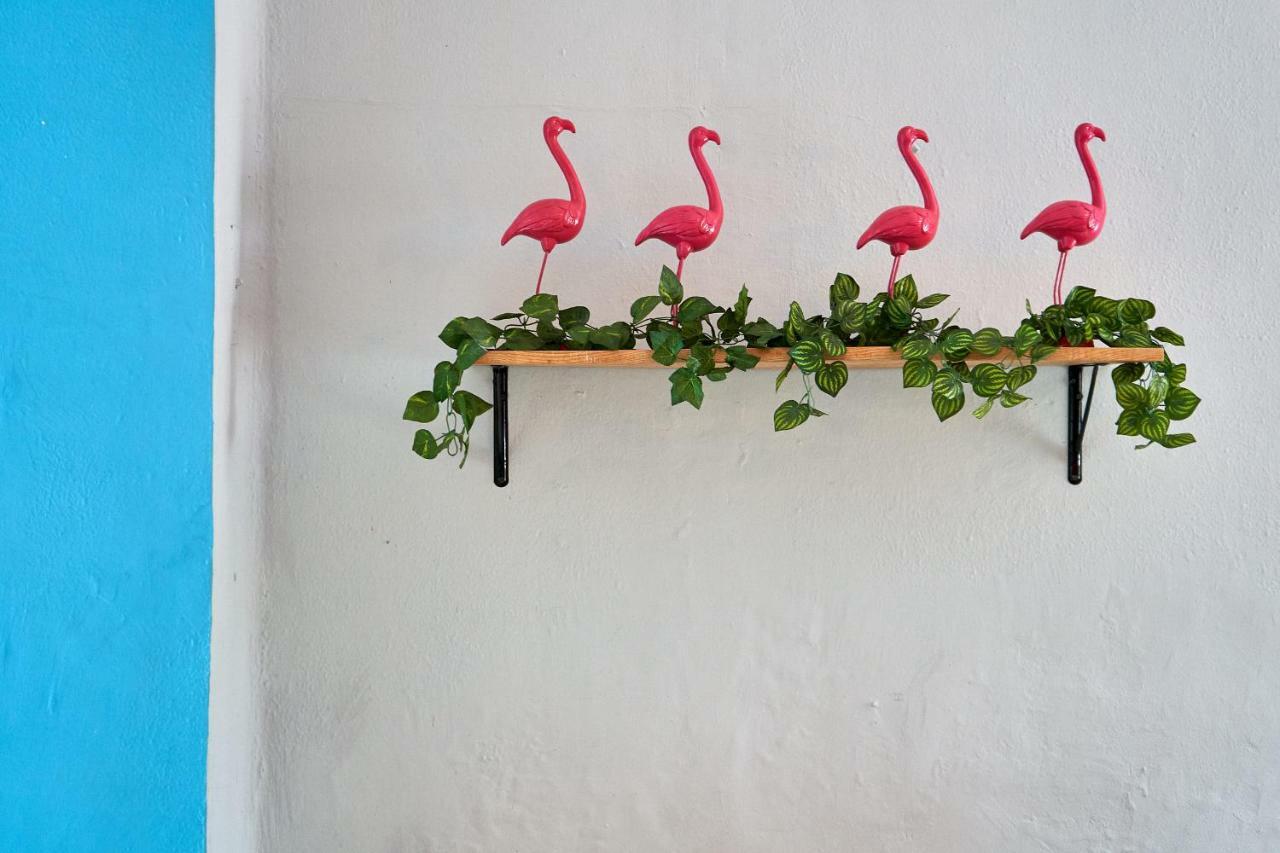 Hostal Americana غوادالاجارا المظهر الخارجي الصورة